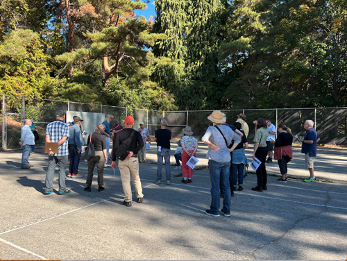 Walking Tour #4